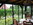 Blick aus braunen Multiraum in den Garten, mit Holzdach und Korbmöbeln